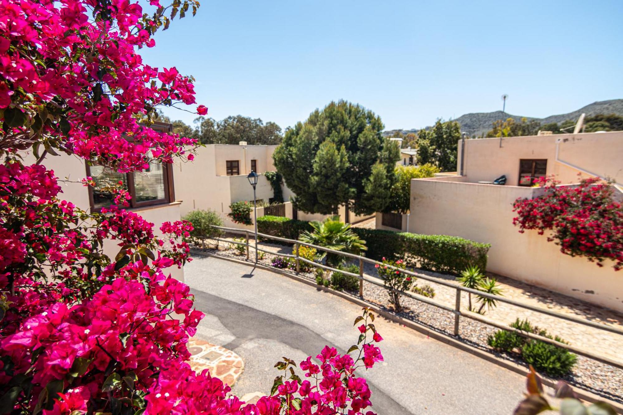 El Velero Sotillo La Jarana Piscina Parking Wifi Сан-Хосе Экстерьер фото